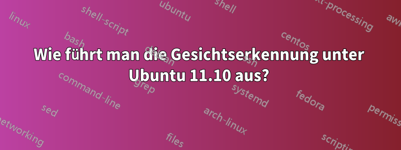 Wie führt man die Gesichtserkennung unter Ubuntu 11.10 aus?