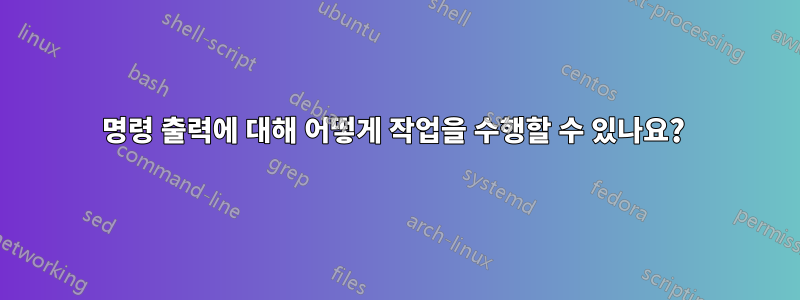 명령 출력에 대해 어떻게 작업을 수행할 수 있나요? 
