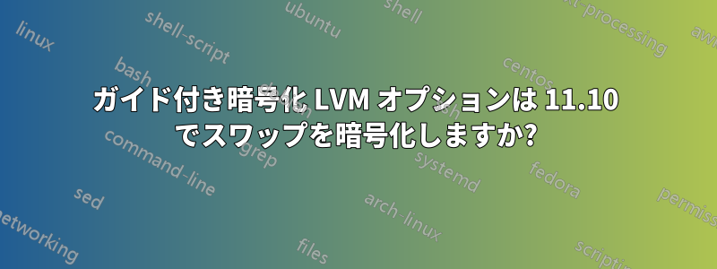 ガイド付き暗号化 LVM オプションは 11.10 でスワップを暗号化しますか?