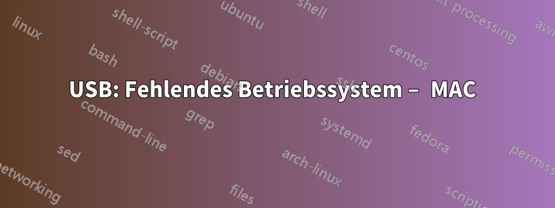 USB: Fehlendes Betriebssystem – MAC 