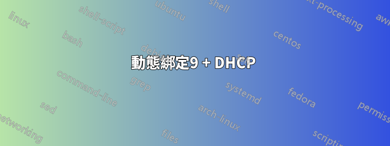 動態綁定9 + DHCP