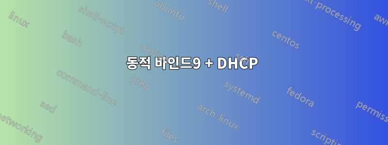 동적 바인드9 + DHCP