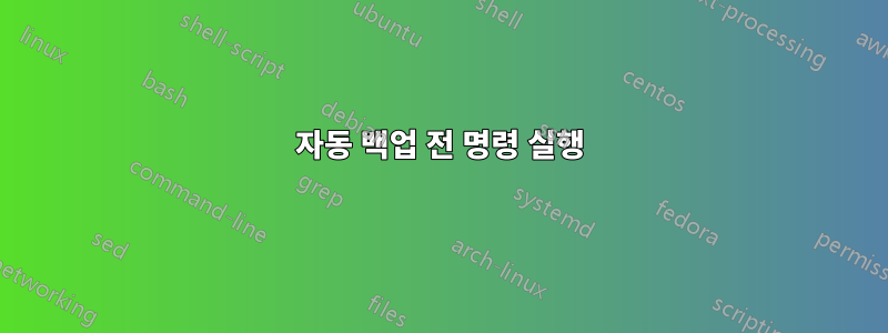 자동 백업 전 명령 실행