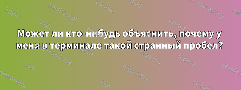 Может ли кто-нибудь объяснить, почему у меня в терминале такой странный пробел?