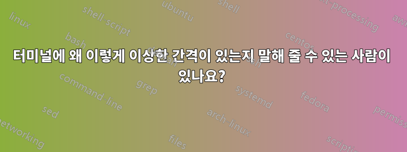 터미널에 왜 이렇게 이상한 간격이 있는지 말해 줄 수 있는 사람이 있나요?