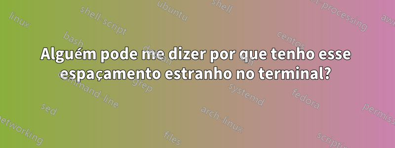 Alguém pode me dizer por que tenho esse espaçamento estranho no terminal?