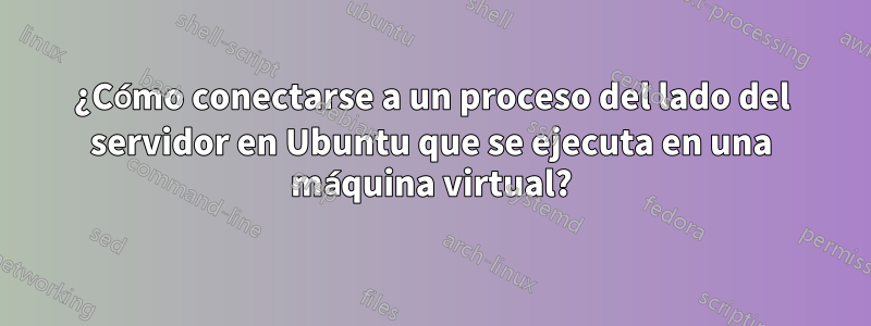 ¿Cómo conectarse a un proceso del lado del servidor en Ubuntu que se ejecuta en una máquina virtual?