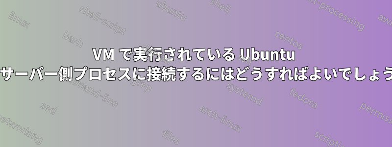 VM で実行されている Ubuntu 上のサーバー側プロセスに接続するにはどうすればよいでしょうか?