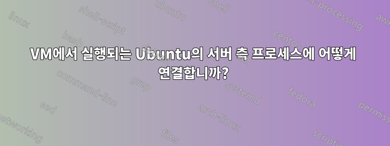 VM에서 실행되는 Ubuntu의 서버 측 프로세스에 어떻게 연결합니까?