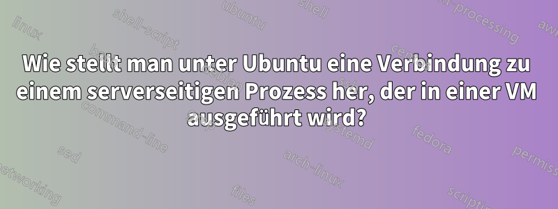 Wie stellt man unter Ubuntu eine Verbindung zu einem serverseitigen Prozess her, der in einer VM ausgeführt wird?