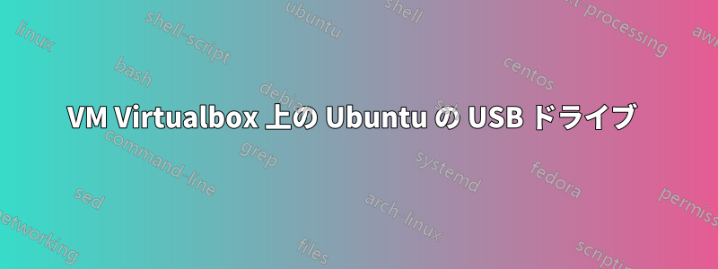 VM Virtualbox 上の Ubuntu の USB ドライブ 