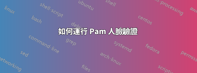 如何運行 Pam 人臉驗證