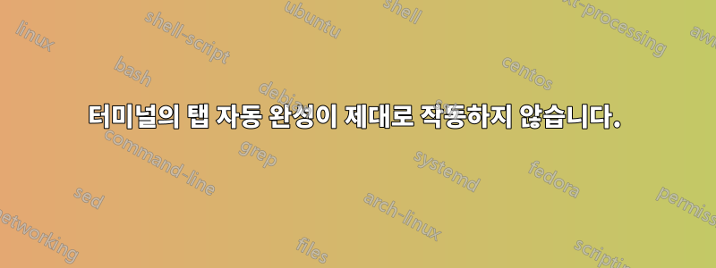 터미널의 탭 자동 완성이 제대로 작동하지 않습니다.