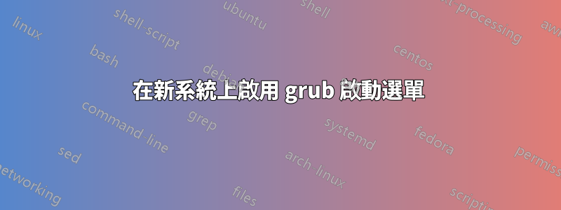 在新系統上啟用 grub 啟動選單