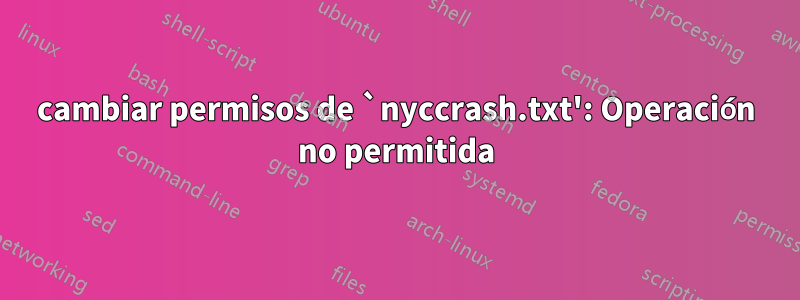 cambiar permisos de `nyccrash.txt': Operación no permitida