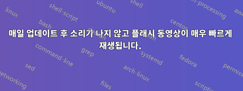 매일 업데이트 후 소리가 나지 않고 플래시 동영상이 매우 빠르게 재생됩니다.