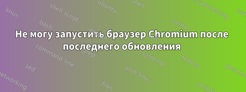 Не могу запустить браузер Chromium после последнего обновления