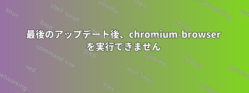 最後のアップデート後、chromium-browser を実行できません