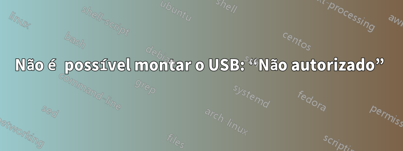 Não é possível montar o USB: “Não autorizado”