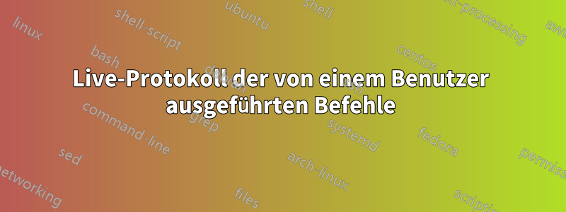 Live-Protokoll der von einem Benutzer ausgeführten Befehle