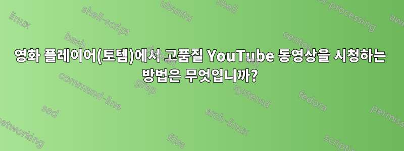 영화 플레이어(토템)에서 고품질 YouTube 동영상을 시청하는 방법은 무엇입니까?