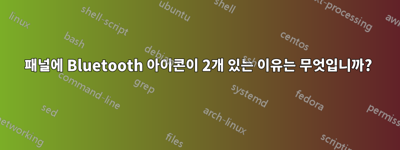 패널에 Bluetooth 아이콘이 2개 있는 이유는 무엇입니까?