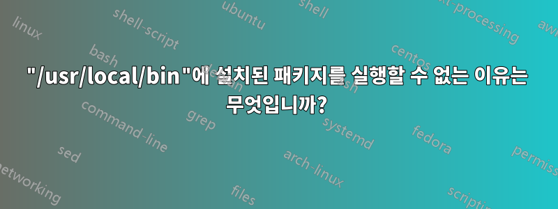 "/usr/local/bin"에 설치된 패키지를 실행할 수 없는 이유는 무엇입니까?