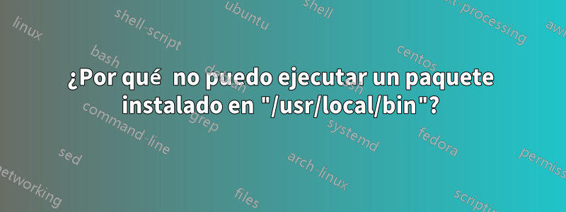 ¿Por qué no puedo ejecutar un paquete instalado en "/usr/local/bin"?