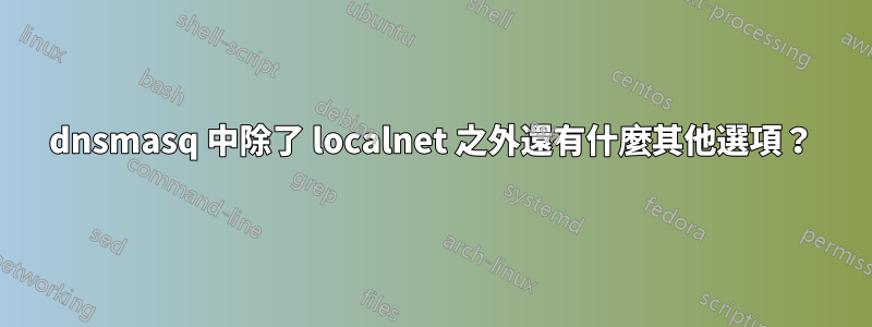 dnsmasq 中除了 localnet 之外還有什麼其他選項？