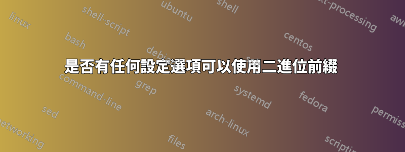 是否有任何設定選項可以使用二進位前綴