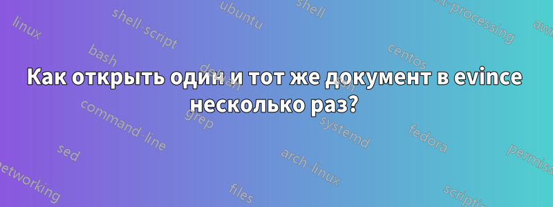 Как открыть один и тот же документ в evince несколько раз?