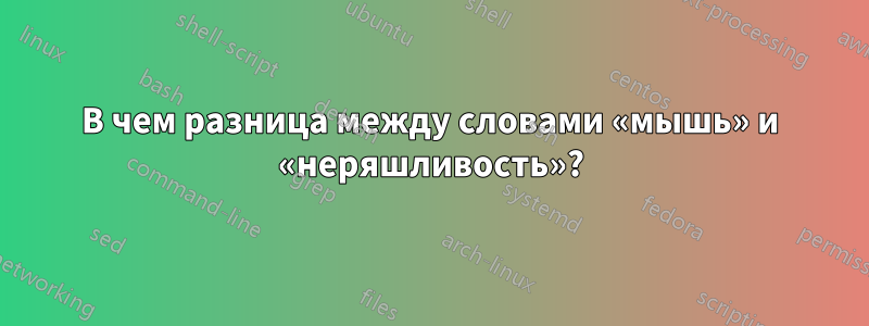 В чем разница между словами «мышь» и «неряшливость»?