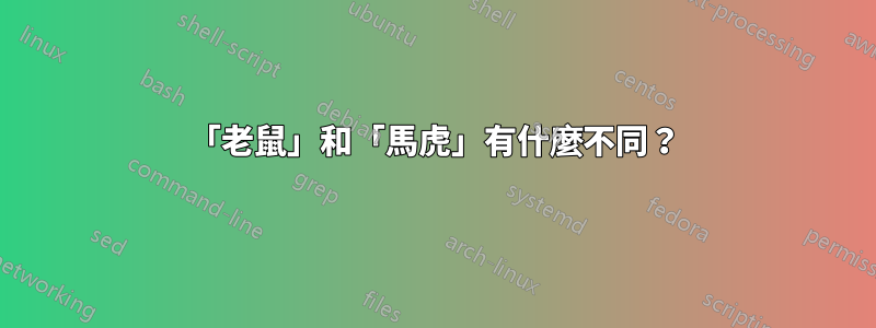 「老鼠」和「馬虎」有什麼不同？