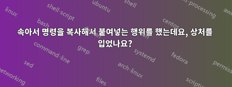 속아서 명령을 복사해서 붙여넣는 행위를 했는데요, 상처를 입었나요?