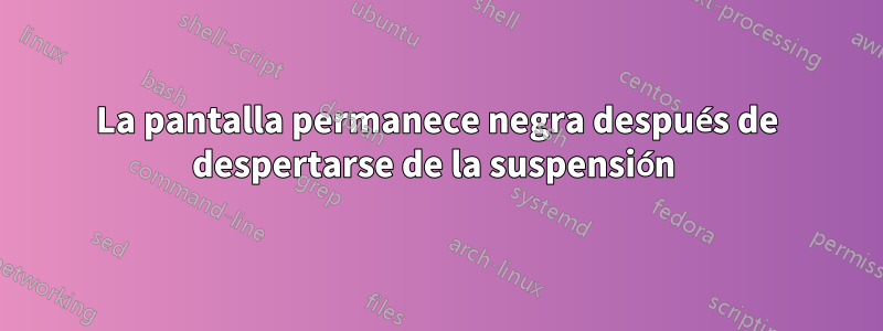 La pantalla permanece negra después de despertarse de la suspensión 