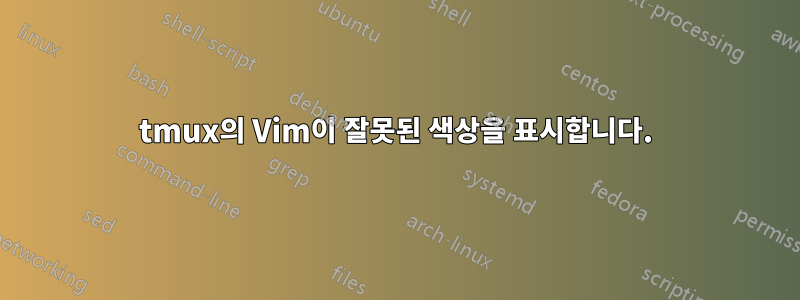 tmux의 Vim이 잘못된 색상을 표시합니다.