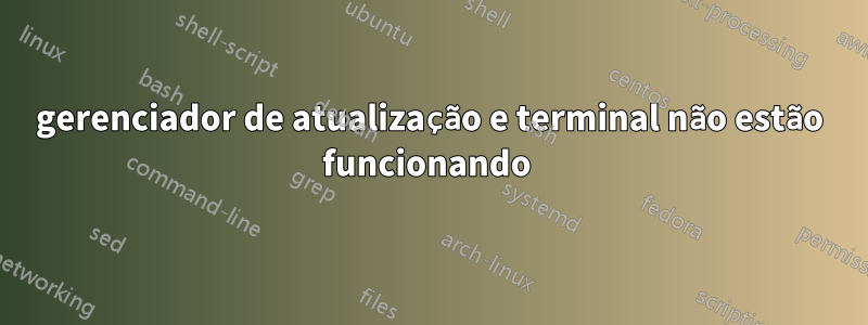 gerenciador de atualização e terminal não estão funcionando 