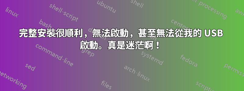 完整安裝很順利，無法啟動，甚至無法從我的 USB 啟動。真是迷茫啊！