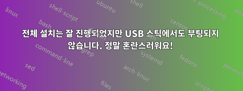 전체 설치는 잘 진행되었지만 USB 스틱에서도 부팅되지 않습니다. 정말 혼란스러워요!