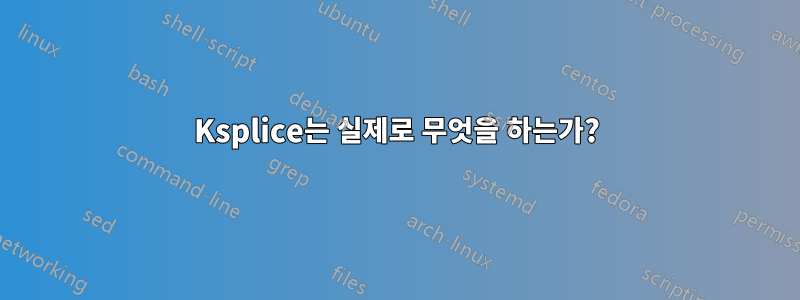 Ksplice는 실제로 무엇을 하는가?