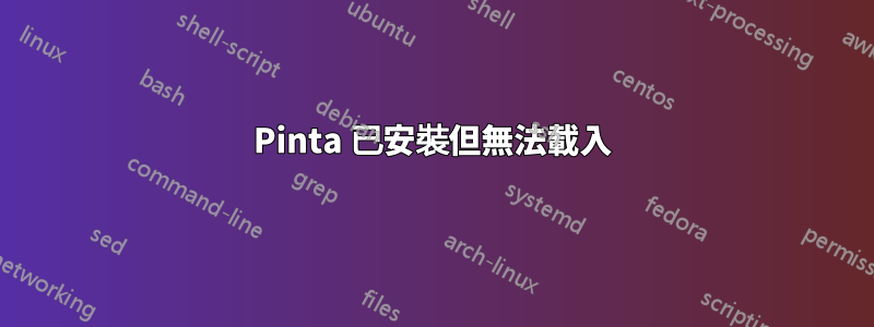 Pinta 已安裝但無法載入