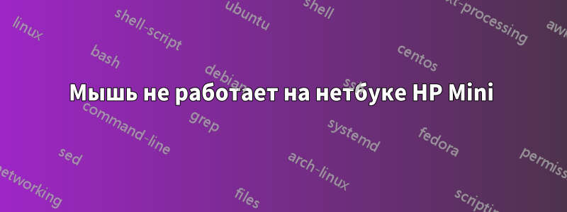 Мышь не работает на нетбуке HP Mini