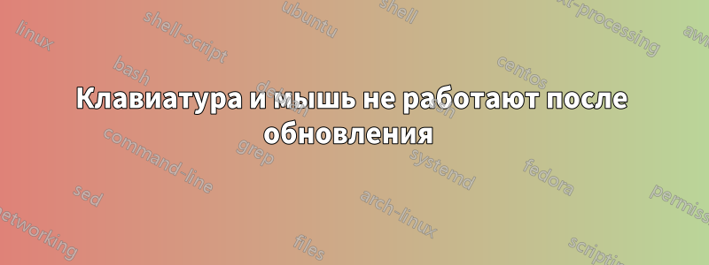 Клавиатура и мышь не работают после обновления 