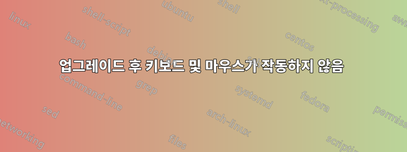 업그레이드 후 키보드 및 마우스가 작동하지 않음