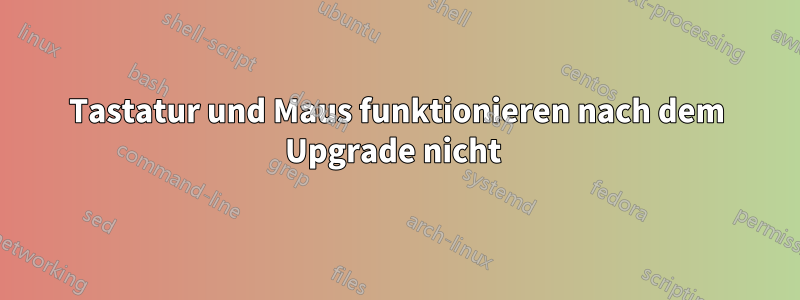 Tastatur und Maus funktionieren nach dem Upgrade nicht 