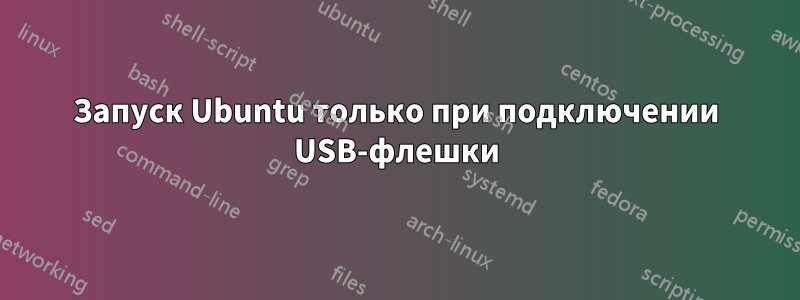 Запуск Ubuntu только при подключении USB-флешки