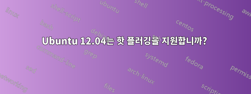 Ubuntu 12.04는 핫 플러깅을 지원합니까?