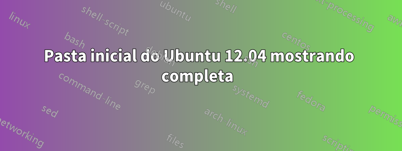 Pasta inicial do Ubuntu 12.04 mostrando completa 