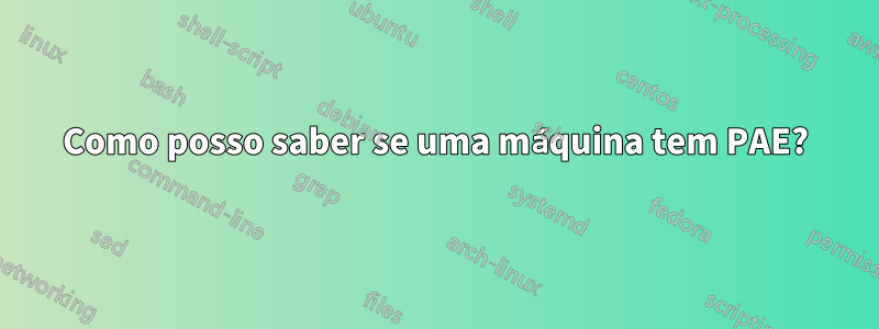 Como posso saber se uma máquina tem PAE?