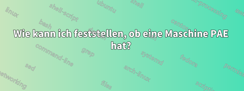 Wie kann ich feststellen, ob eine Maschine PAE hat?